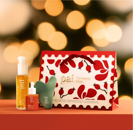 Holiday Gift Guide
